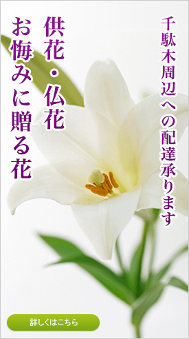 千駄木周辺への配達承ります
供花・仏花
お悔みに贈る花
詳しくはこちら