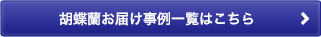 胡蝶蘭お届け事例一覧はこちら